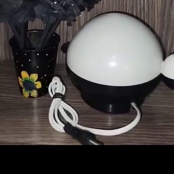 Egg Boiler