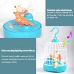 ELECTRIC INDUCTION MINI BIRD CAGE WITH LIGHT & SOUND Activated and Battery Operated Birds Birdcage Toy, Singing Chirping Fluttering Birds Toys Gifts for Toddler Kids Children - Image 4